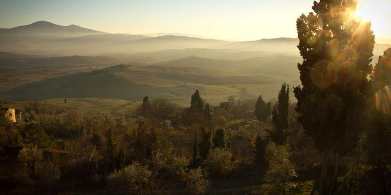 智能守护者：基于AI的网络异常检测与自动化响应系统如何重塑网络安全防线