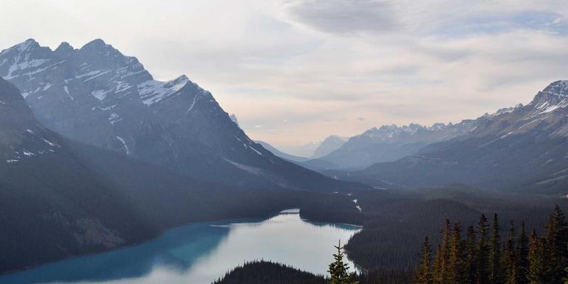 量子密钥分发网络:编程开发者必须了解的下一代安全通信革命